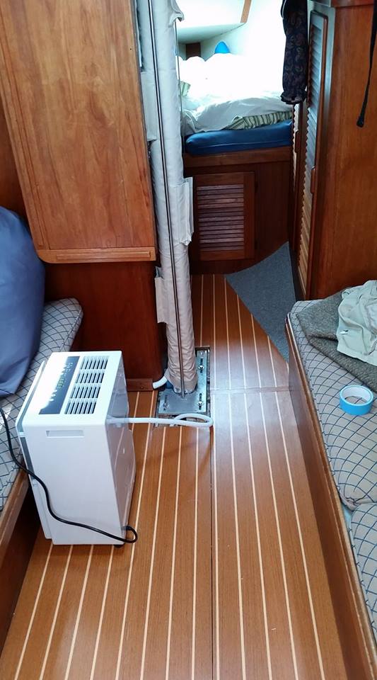 New Teak And Holly Sole Boat And Equipment Reviews