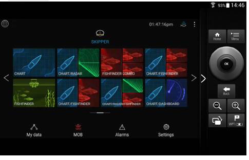 Raymarine Remote screen on tablet or iPad